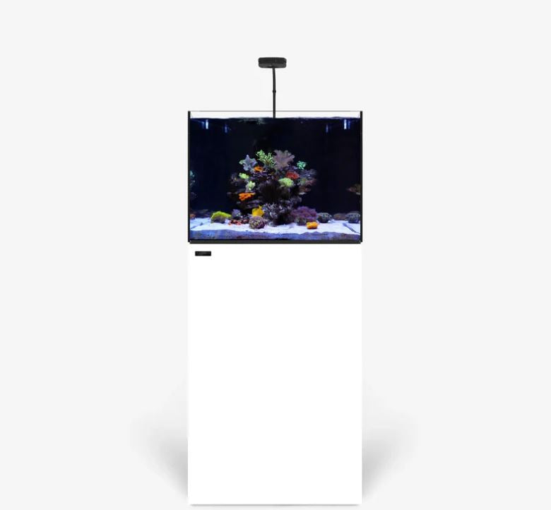AIO 35.2 PLUS Edition