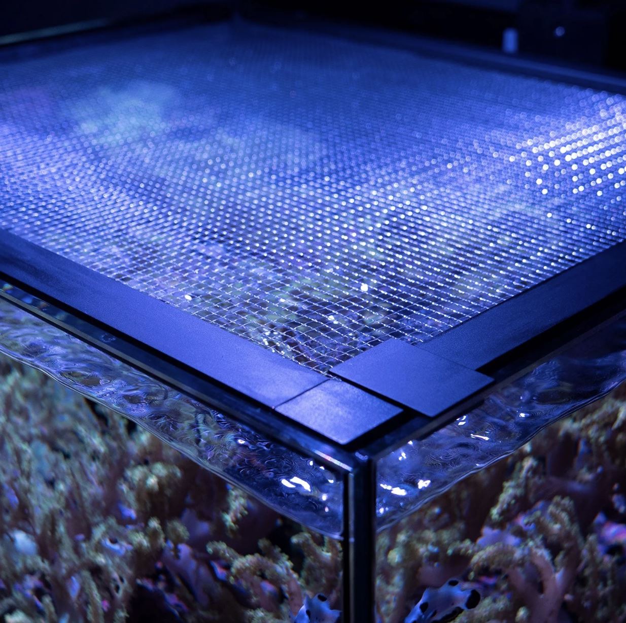 Waterbox Mesh Lid