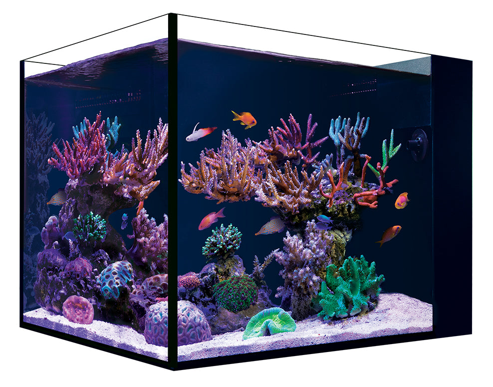 Red Sea Desktop Peninsula Tank - No Cabinet UPC: 730773443123