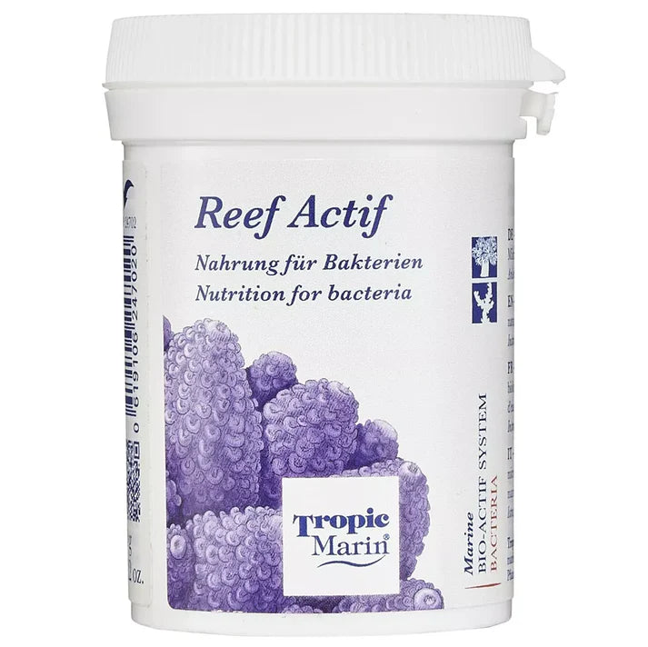 Reef-Actif