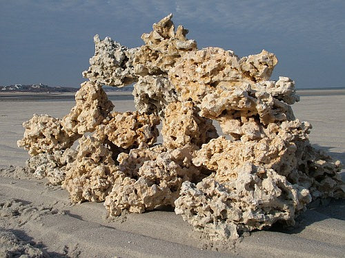 Marco Rocks Key Largo Premium per pound