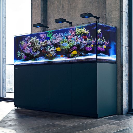 Red Sea Reefer-S 850 G2 - Black