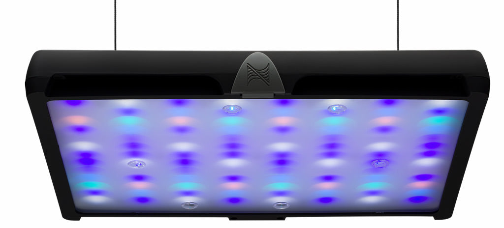 SKY Reef Aquarium Light - Neptune Systems