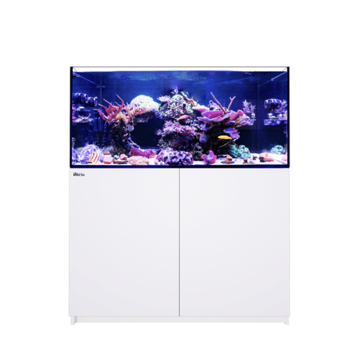 Red Sea Reefer 350 G2 - White
