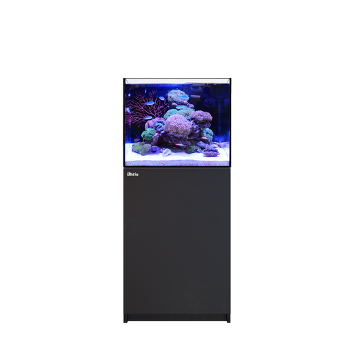 Red Sea Reefer 170 G2 - Black