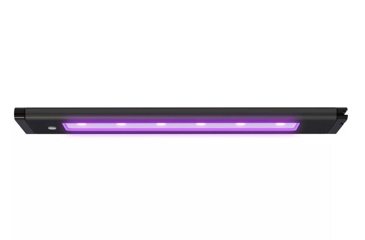 Aqua Illumination Blade Coral Glow LED - 48 Inch