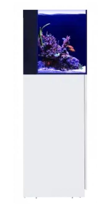 Red Sea Desktop Cube Tank - With White Cabinet