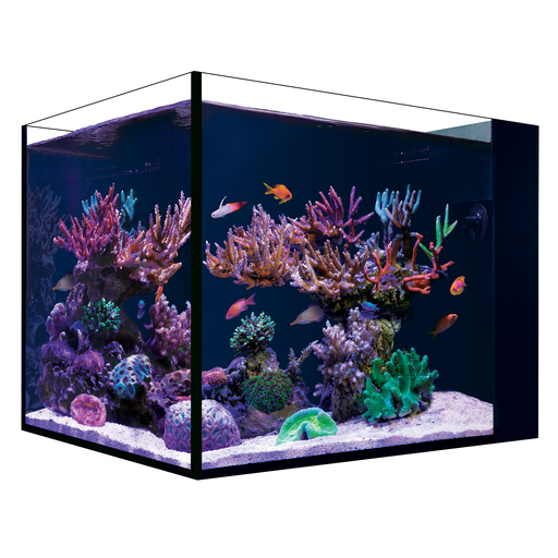 Red Sea Desktop Peninsula Tank - With White Cabinet