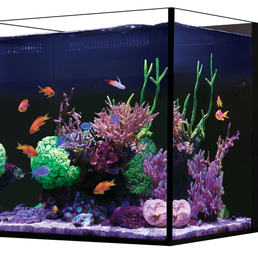 Red Sea Desktop Cube Tank - With White Cabinet