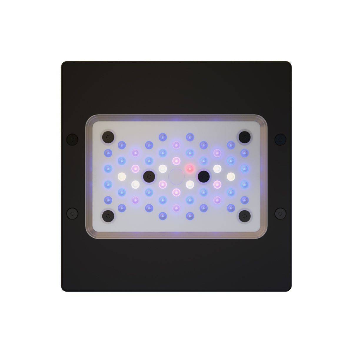 Ecotech Marine Radion XR15 Blue G6