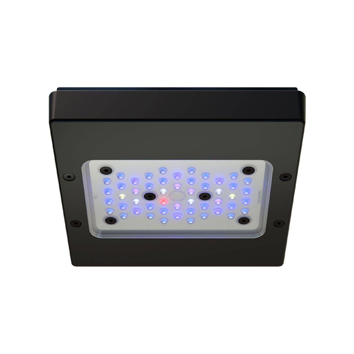 Ecotech Marine Radion XR15 Blue G6