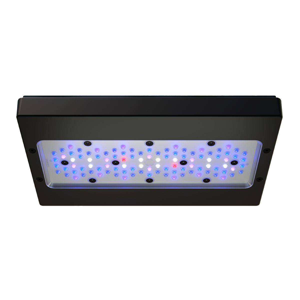 Ecotech Marine Radion XR30 Blue G6