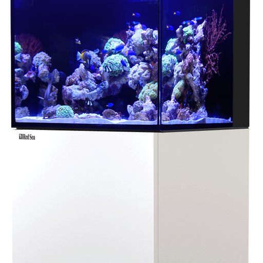 Red sea online reef tank