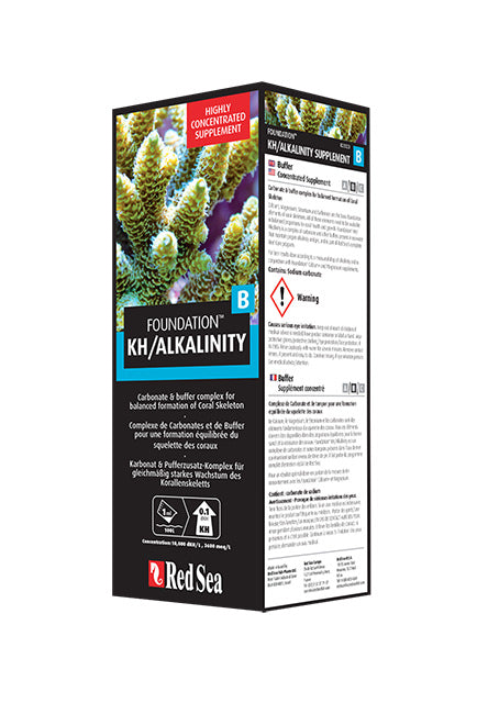 Red Sea Reef Foundation B