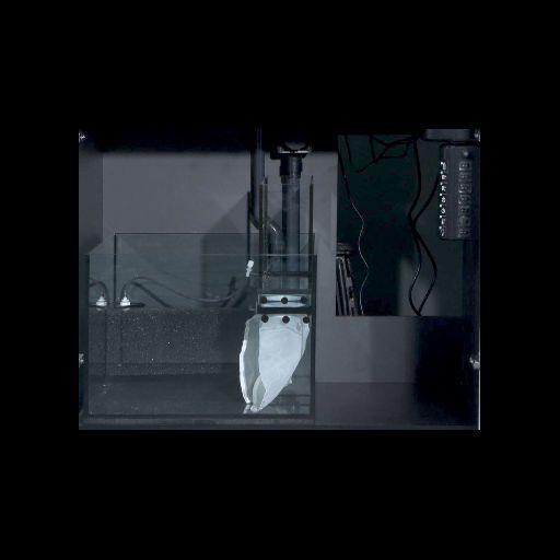Red Sea Max E-170 ReefLED Reef System - White