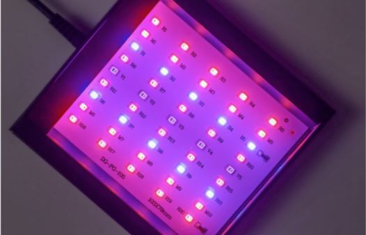 Reef Casa Nova Refugium LED