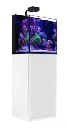 Red Sea Max Nano Cube G2 - White