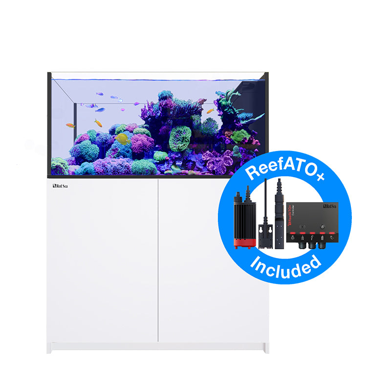 Red Sea Reefer Peninsula G2+ 500 - White