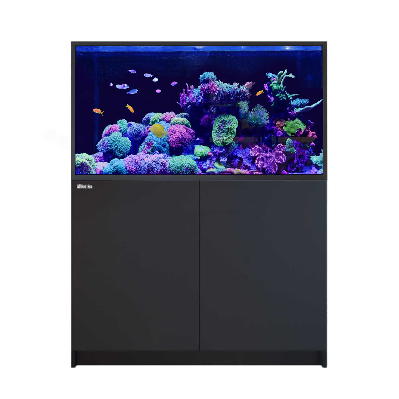 Red Sea Reefer S-550 G2+ - Black