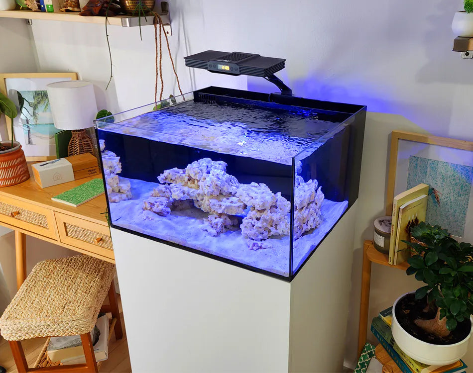 Reef Casa Laguna 24 Gallon Aquarium