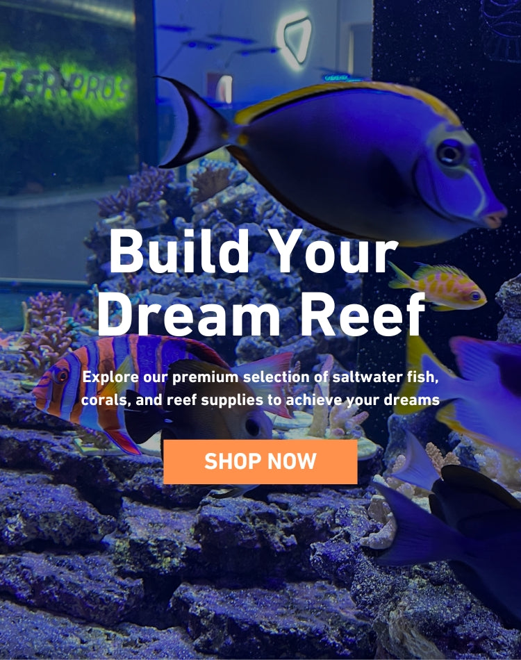 Corals, Fish, SPS, LPS, Softies, Inverts, and Aquarium Supplies Store.