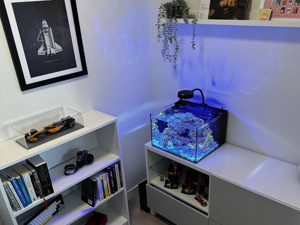 Reef Casa Studio 12 Gallon Aquarium