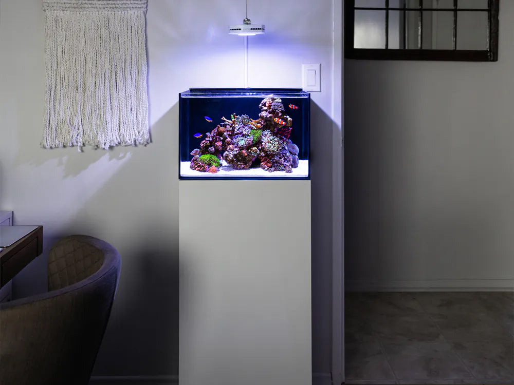 Reef Casa Studio 12 Gallon Aquarium