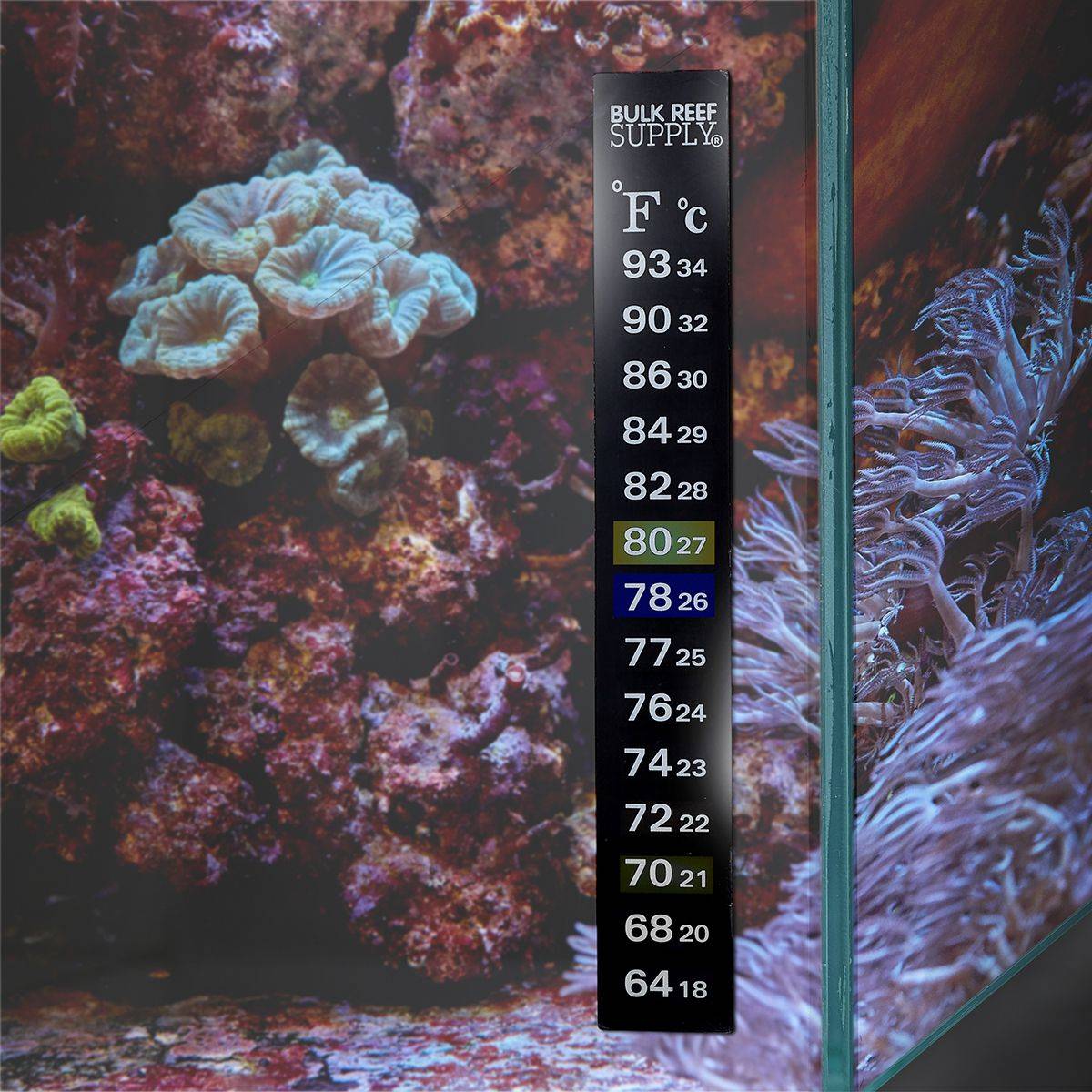 Coral reef supply sale