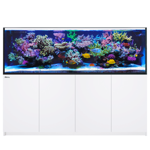 Red Sea Reefer 3XL 900 G2 - White