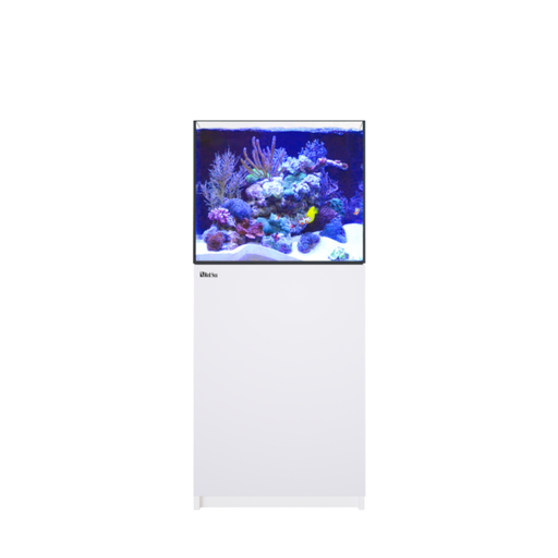 Red Sea Reefer 250 G2 - White