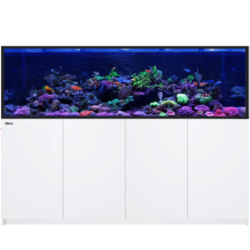 Red Sea Reefer-S 850 G2 - White