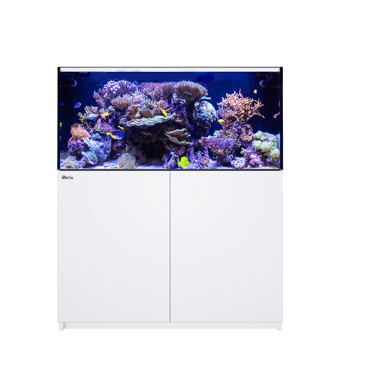 Red Sea Reefer XL 425 G2 - White