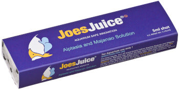 Joe's Juice Aiptasia Shot