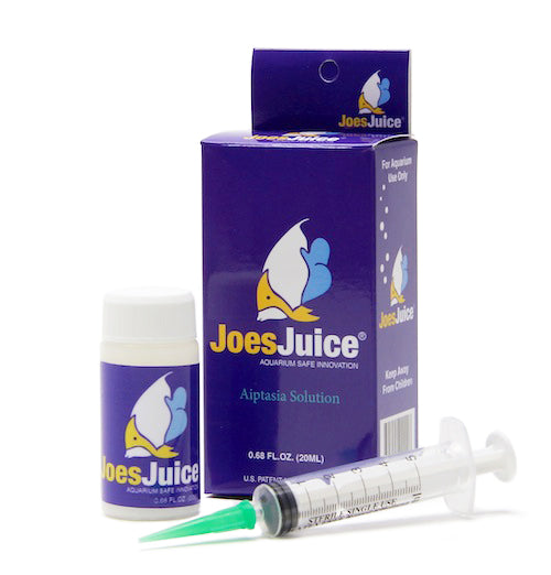 Joe's Juice Aiptasia Solution