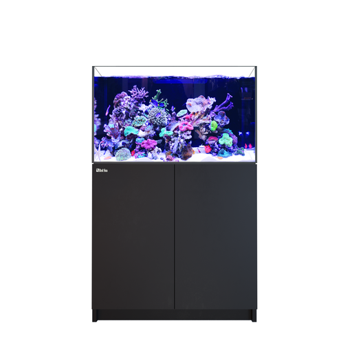 Red Sea Reefer XL300 G2 - Black